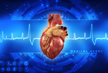 2021年心脏外科和心血管疾病国际会议（ICCSCD）