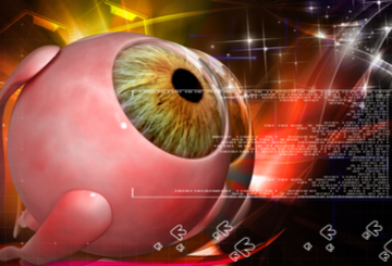 2024年第26届国际眼科研究学会双年会（ISER）