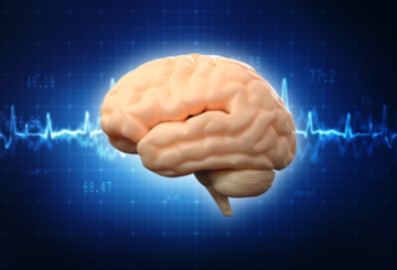 2018年欧洲重症监护神经科学国际研讨会（NICIS-EUROPE)