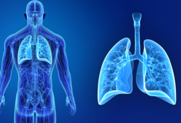 2023年第三届慢性阻塞性肺病和哮喘国际会议（COPD）