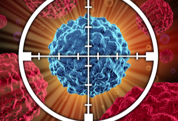 2016年第36届欧洲外科肿瘤学会年会（ESSO)