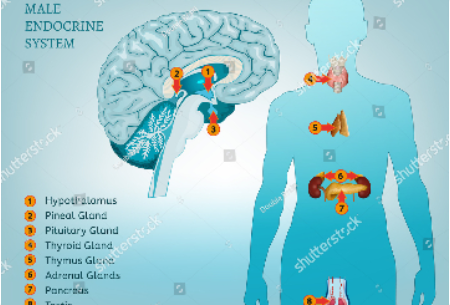 2020年澳大利亚糖尿病学会和糖尿病教育协会年会（ADS-ADEA ）延期更新