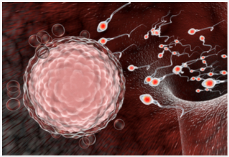 2020年第16届欧洲避孕和生殖健康学会（ESC)延期更新