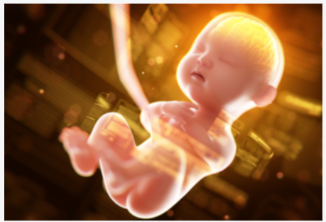 2020年第15届欧洲儿科和新生儿机械通气大会（EPNV)延期更新