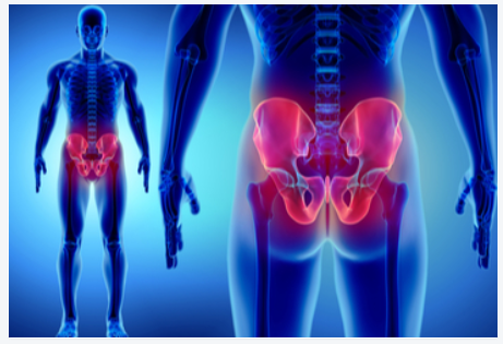 2020年第14届欧洲髋关节学会大会双年会（EHS)延期更新