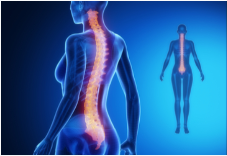 2020年第11届颈椎研究学会亚太分会（CSRS-AP 2020）延期更新