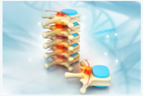 2020年第21届圣达菲骨健康研讨会（SANTA FE)延期通知