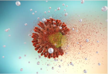 2020年第27届澳大利亚和新西兰脊髓学会年度科学会议（ANZSCoS）延期更新