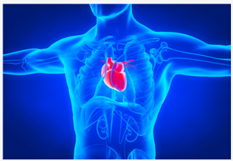 2020年第37届国际心脏研究学会日本分会年会（ISHR)延期更新