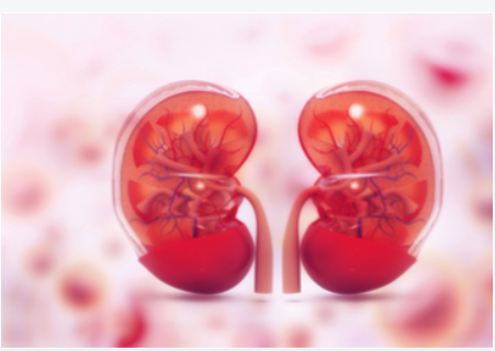 2020年国际肾脏病学会前沿会议（ISN Frontiers）延期更新