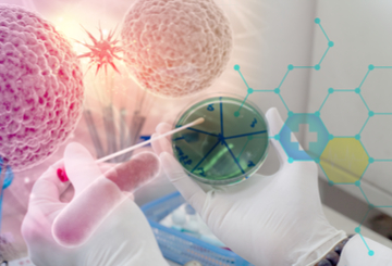 2024年第21届欧洲毒理病理学会大会（ESTP)