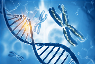 2021年美国细胞基因组学双年会（ACC)