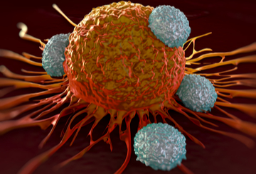 2026年第12届世界多发性骨髓瘤争议大会（COMy)