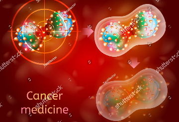 2024年第30届欧洲癌症研究协会年会（EACR）